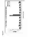 Fig. 02 - METHOD FOR DETECTING ANTI-HE4 ANTIBODIES AND METHODS OF DIAGNOSIS AND/OR PROGNOSIS OF CONDITIONS ASSOCIATED WITH HE4-EXPRESSING CELLS