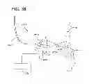 Fig. 49 - Flow cytometer apparatus and method