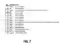 Fig. 08 - EXPRESSION OF STEADY STATE METABOLIC PATHWAYS