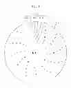 Fig. 04 - Optical heads and sequencing apparatuses including the same