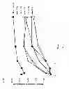 Fig. 22 - DNA origami devices