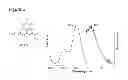 Fig. 04 - Amine-substituted tricyclic fluorescent dyes