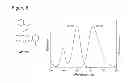Fig. 05 - Amine-substituted tricyclic fluorescent dyes