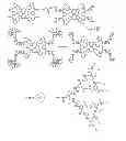Fig. 01 - Phosphorescent meso-unsubstituted metallo-tetrabenzoporphyrin probe molecules for measuring oxygen and imaging methods