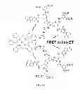 Fig. 06 - Phosphorescent meso-unsubstituted metallo-tetrabenzoporphyrin probe molecules for measuring oxygen and imaging methods
