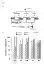 Fig. 02 - REAGENTS AND METHODS FOR DETECTING PROTEIN CROTONYLATION