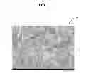 Fig. 12 - Method of manufacturing photovoltaic cell