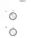 Fig. 04 - Method and device for producing a metallic contact structure for making electrical contact with a photovoltaic solar cell