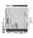 Fig. 331 - Methods and systems for analysis of single cells