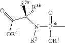 Fig. 85 - Nucleoside phosphoramidates