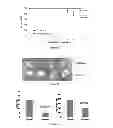 Fig. 08 - PHOSPHO-ESTER DERIVATIVES AND USES THEREOF