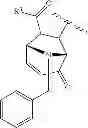 Fig. 49 - PHOSPHO-ESTER DERIVATIVES AND USES THEREOF