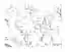 Fig. 01 - METHOD FOR PRODUCING CRYSTALLINE 5-AMINOSALICYLIC ACID