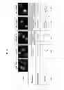 Fig. 07 - Proteasome inhibitors and uses thereof