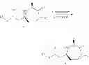 Fig. 197 - Methods of modulating the activity of the MC5 receptor and treatment of conditions related to this receptor