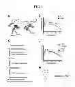 Fig. 02 - Compositions and Methods for Reducing Cancer Cell Proliferation and Modulating Importin-Beta Function