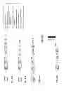 Fig. 28 - COMPOSITIONS AND METHODS FOR SPECIFIC CLEAVAGE OF EXOGENOUS RNA IN A CELL