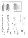 Fig. 40 - COMPOSITIONS AND METHODS FOR SPECIFIC CLEAVAGE OF EXOGENOUS RNA IN A CELL