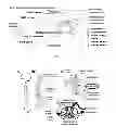 Fig. 02 - METHODS AND COMPOSITIONS FOR DECREASING CHRONIC PAIN