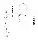 Fig. 02 - Compound, composition and uses thereof