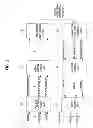 Fig. 02 - Apparatus for providing multimedia services and method thereof