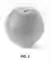 Fig. 02 - Orange tree named 'KARNINKA'