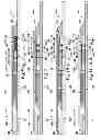 Fig. 08 - Downhole fluid flow control system having pressure sensitive autonomous operation