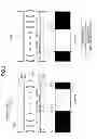 Fig. 04 - Display apparatus and liquid crystal barrier device