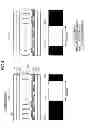Fig. 05 - Display apparatus and liquid crystal barrier device