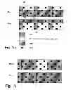 Fig. 02 - Methods and network nodes for configuring almost blank subframe transmission patterns and corresponding measurement patterns for reducing intercell interference in an heterogeneous cellular radio communication system