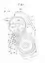 Fig. 07 - Developing device and image-forming apparatus