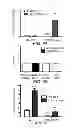 Fig. 06 - Slow-release formulations of 5-hydroxytryptophan as an adjunct to pro-serotonergic therapies