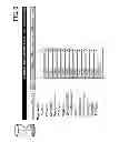 Fig. 07 - CONSTRUCTION TRADE BUILDING INFORMATION MANAGEMENT SYSTEM, SOFTWARE AND METHOD