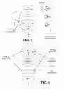 Fig. 05 - Robust discovery of entity synonyms using query logs