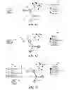 Fig. 09 - Highlighting of time series data on force directed graph
