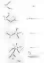 Fig. 07 - Force Directed Graph with Time Series Data