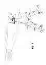 Fig. 06 - TURBINE ENGINE CASE MOUNT