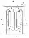 Fig. 06 - Optical waveguide circuit having identical polarization-cancelling S-shaped curves