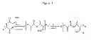 Fig. 02 - MICROPARTICLES COMPRISING A SMALL HEAT-SHOCK PROTEIN