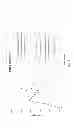 Fig. 09 - Method for treating ADD or ADHD comprising administering amphetamine complexed with ion-exchange resin particles