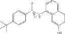 Fig. 09 - Use of compounds for inducing differentiation of mesenchymal stem cells to chondrocytes