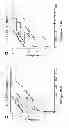 Fig. 07 - MARKER CONSISTING OF PLASMA MICRORNA AND A NEW METHOD FOR DIAGNOSIS OF HEPATOCELLULAR CARCINOMA