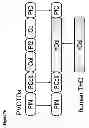Fig. 09 - COLLAGEN