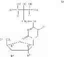 Fig. 04 - Bone-targeting bisphosphonate duplex drugs
