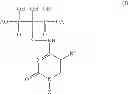 Fig. 12 - Bone-targeting bisphosphonate duplex drugs
