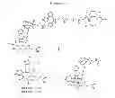 Fig. 02 - Methods and compositions for the rapid synthesis of radiometal-labeled probes