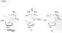 Fig. 06 - BUILDING BLOCKS AND METHODS FOR THE SYNTHESIS OF 5-HYDROXYMETHYLCYTOSINE-CONTAINING NUCLEIC ACIDS