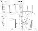 Fig. 07 - BUILDING BLOCKS AND METHODS FOR THE SYNTHESIS OF 5-HYDROXYMETHYLCYTOSINE-CONTAINING NUCLEIC ACIDS