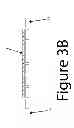 Fig. 07 - Linear Motor and Handheld Unit