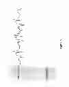 Fig. 09 - Device and method of neuromodulation to effect a functionally restorative adaption of the neuromuscular system